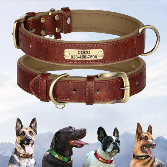 Custom Leather Dog Collar