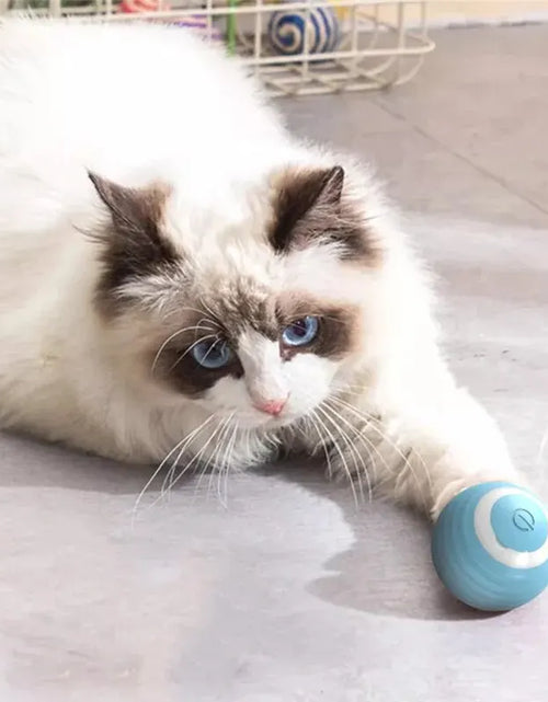 Load image into Gallery viewer, Cat Interactive Ball Training Self-moving Kitten Electric Cat Ball Toys Electronic Automatic Rolling Magic Ball Toys for Cat
