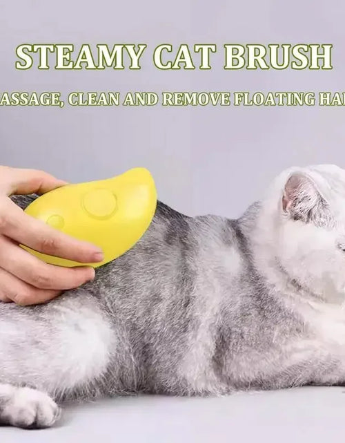 Load image into Gallery viewer, Cat Dog Steamy Brush Steam Brush Electric Sprayer for Massage Pet Grooming tool Shedding 3 in 1 Electric Sprays Massage Combs
