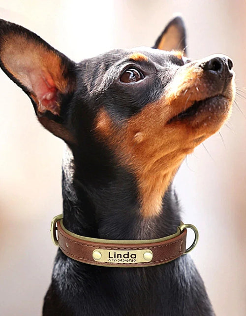 Load image into Gallery viewer, Personalized Leather Custom Dog Collar Soft Padded Dog Collars Durable Pet ID Tag Collar Adjustable for Small Medium Large Dogs
