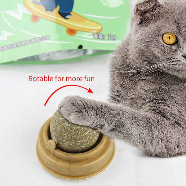 Playful Catnip Wall Ball Treat