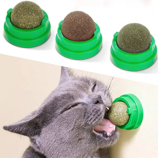 Playful Catnip Wall Ball Treat