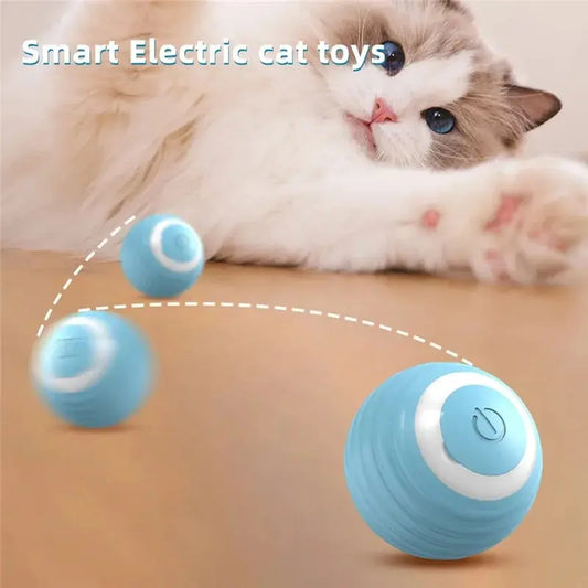 Magic Motion Cat Ball