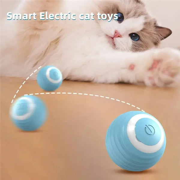 Magic Motion Cat Ball